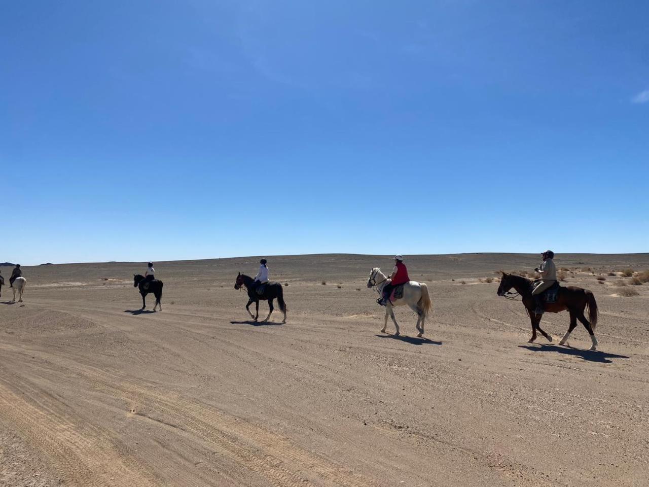 Auberge Restau Tombouctou Aït Benhaddou Eksteriør bilde